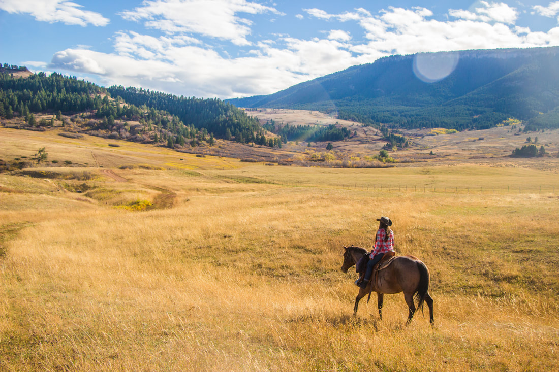 Leila Pages à cheval dans un paysage de montagne en automne